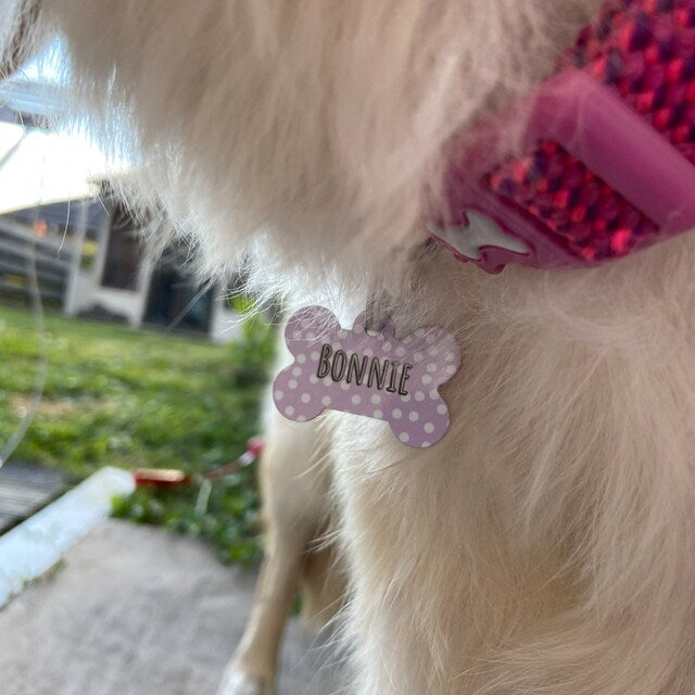 Purple Spotty Bone Dog Tag