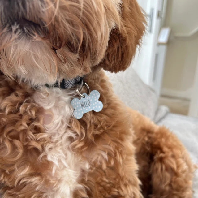 Green Spotty Bone Dog Tag