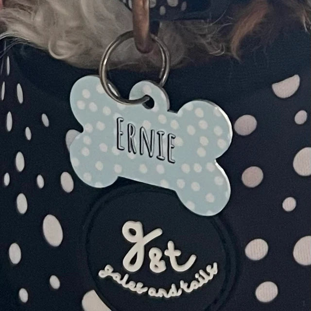 Blue Spotty Bone Dog Tag