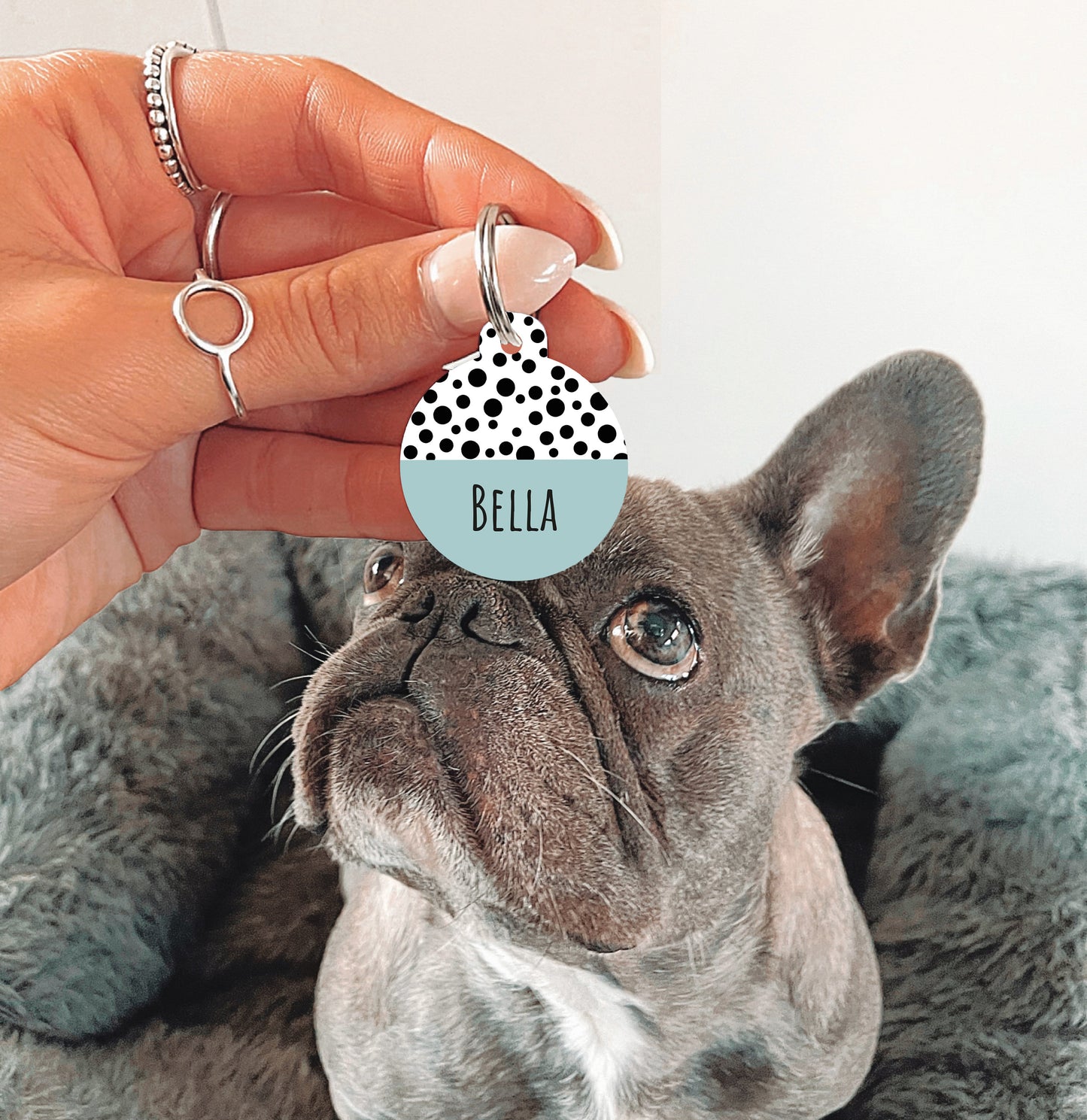 Green Half Polka Dots Circle Dog Tag