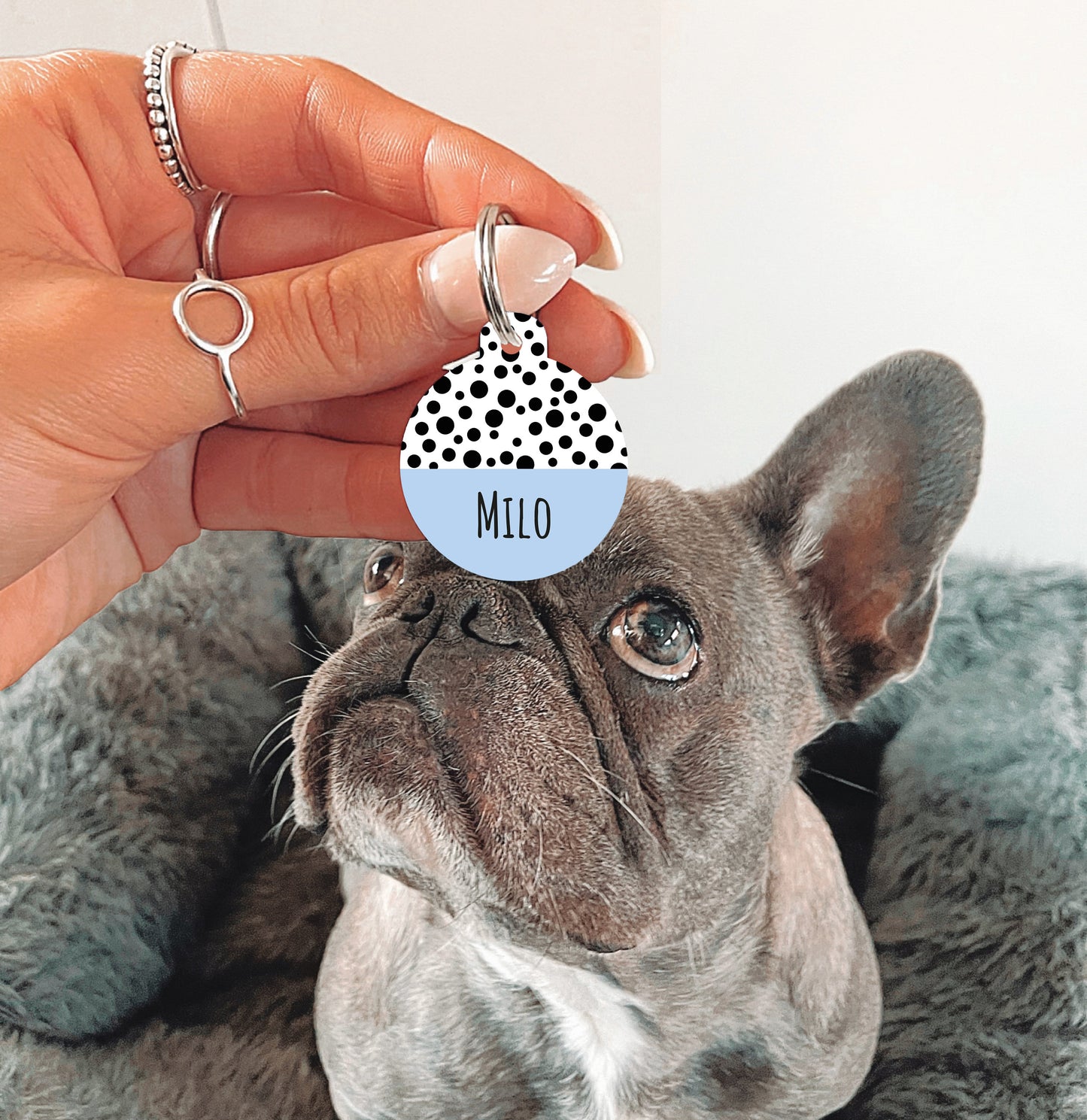 Blue Half Polka Dots Circle Dog Tag