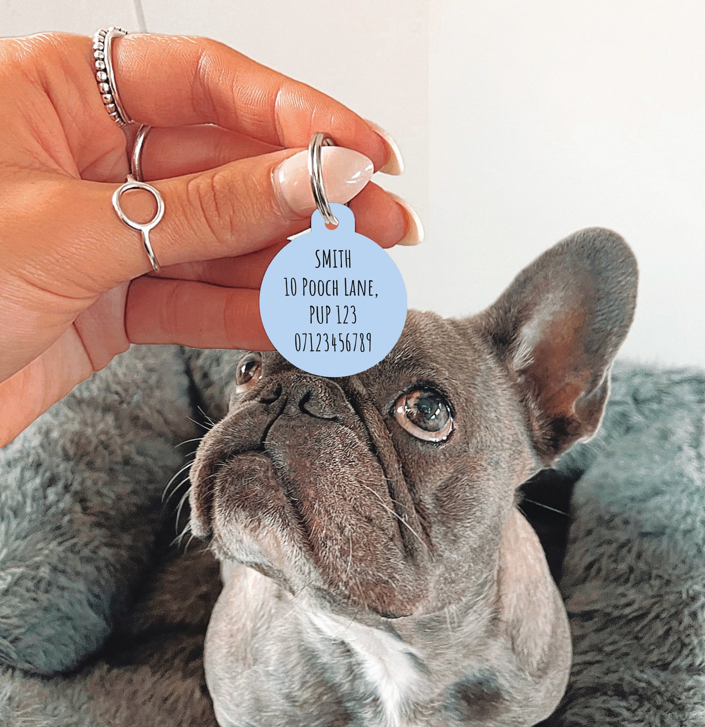 Blue Half Polka Dots Circle Dog Tag