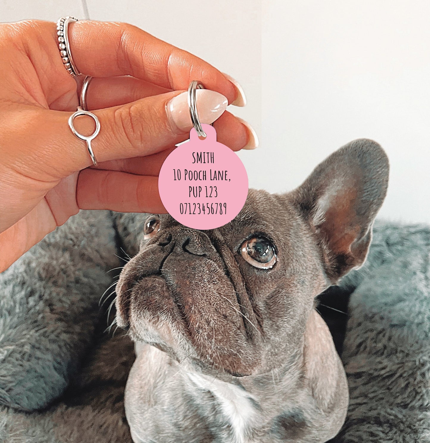 Pink Half Polka Dots Circle Dog Tag