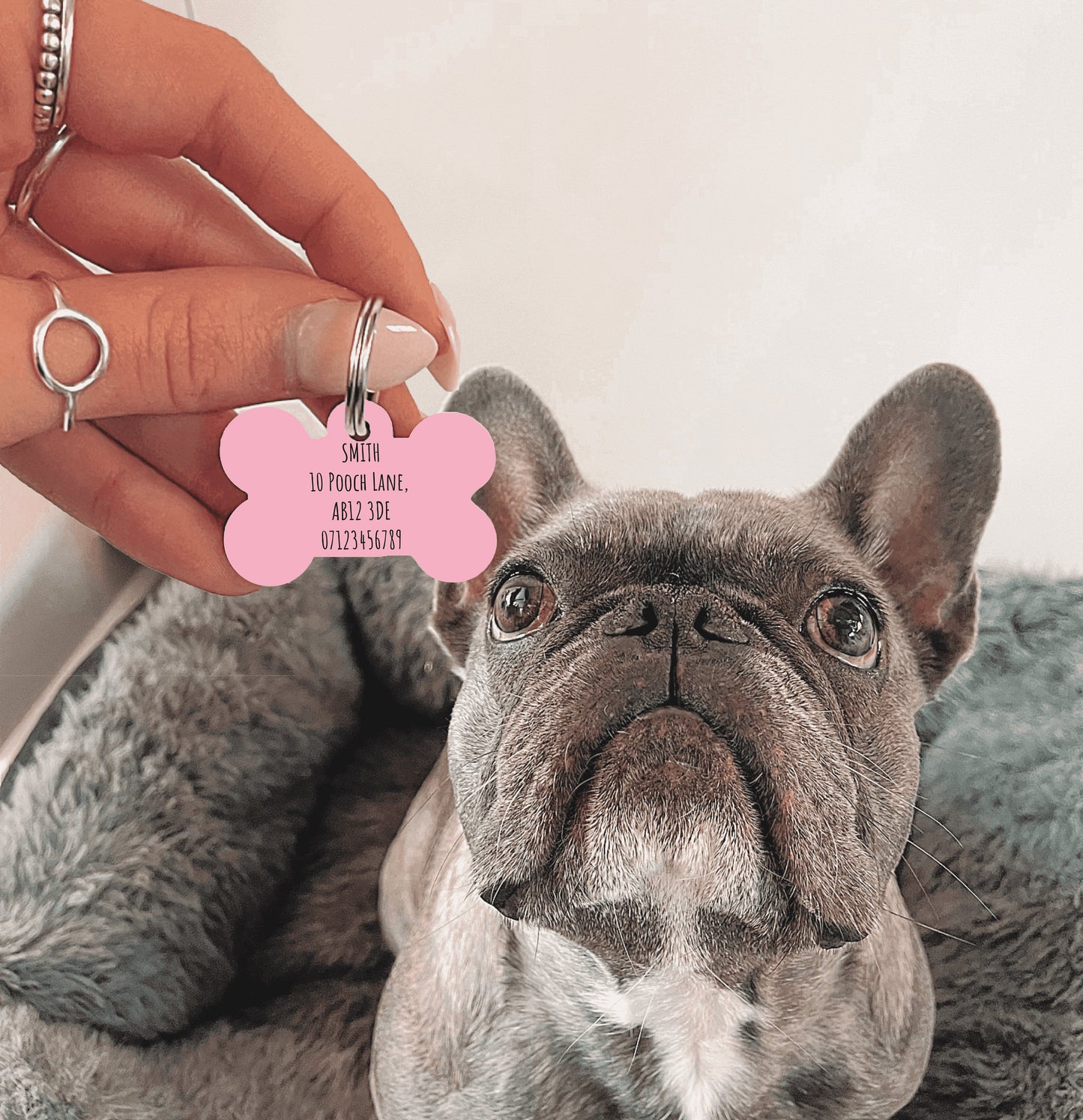 Pink Half Polka Dots Bone Dog Tag