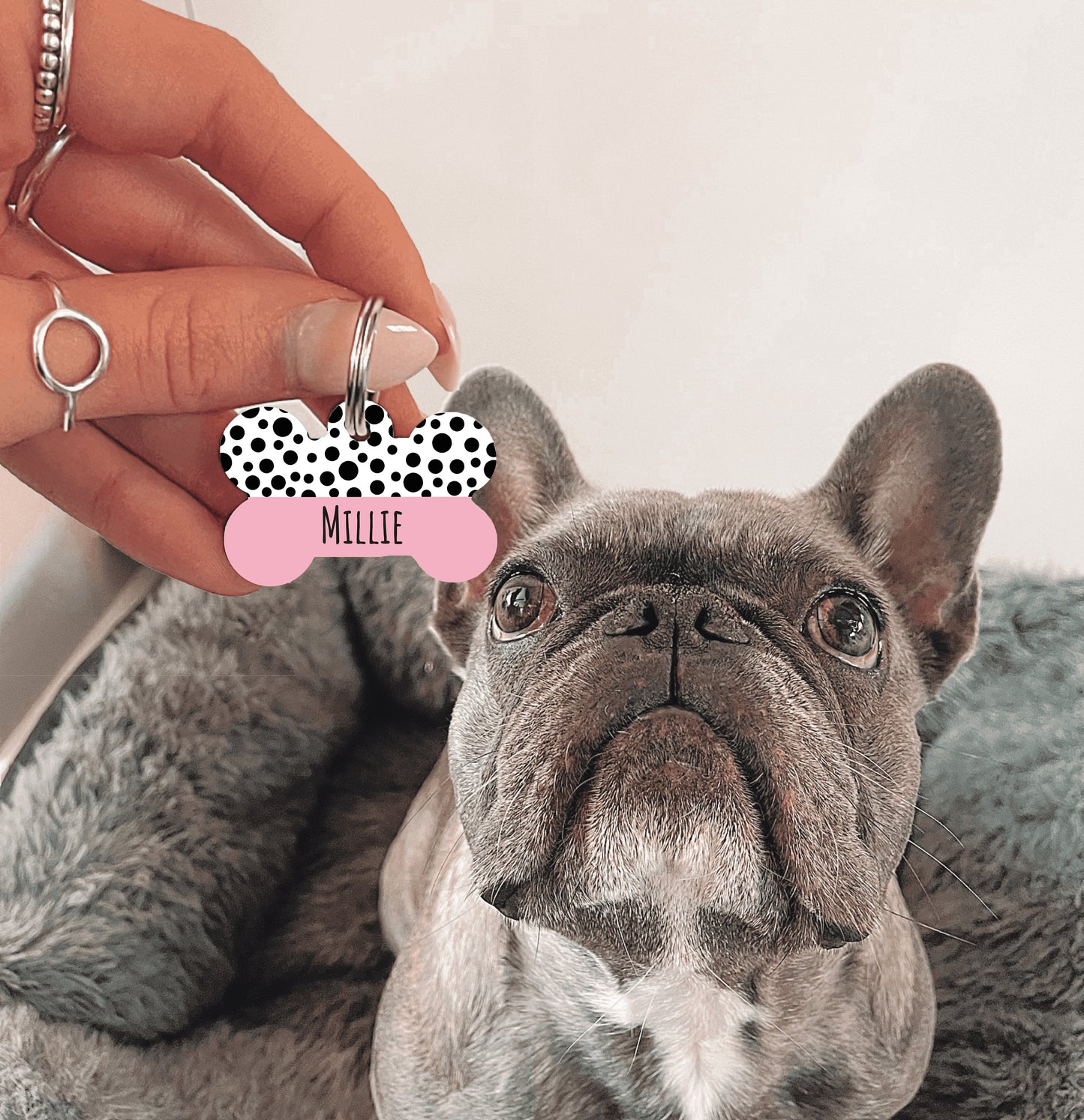 Pink Half Polka Dots Bone Dog Tag