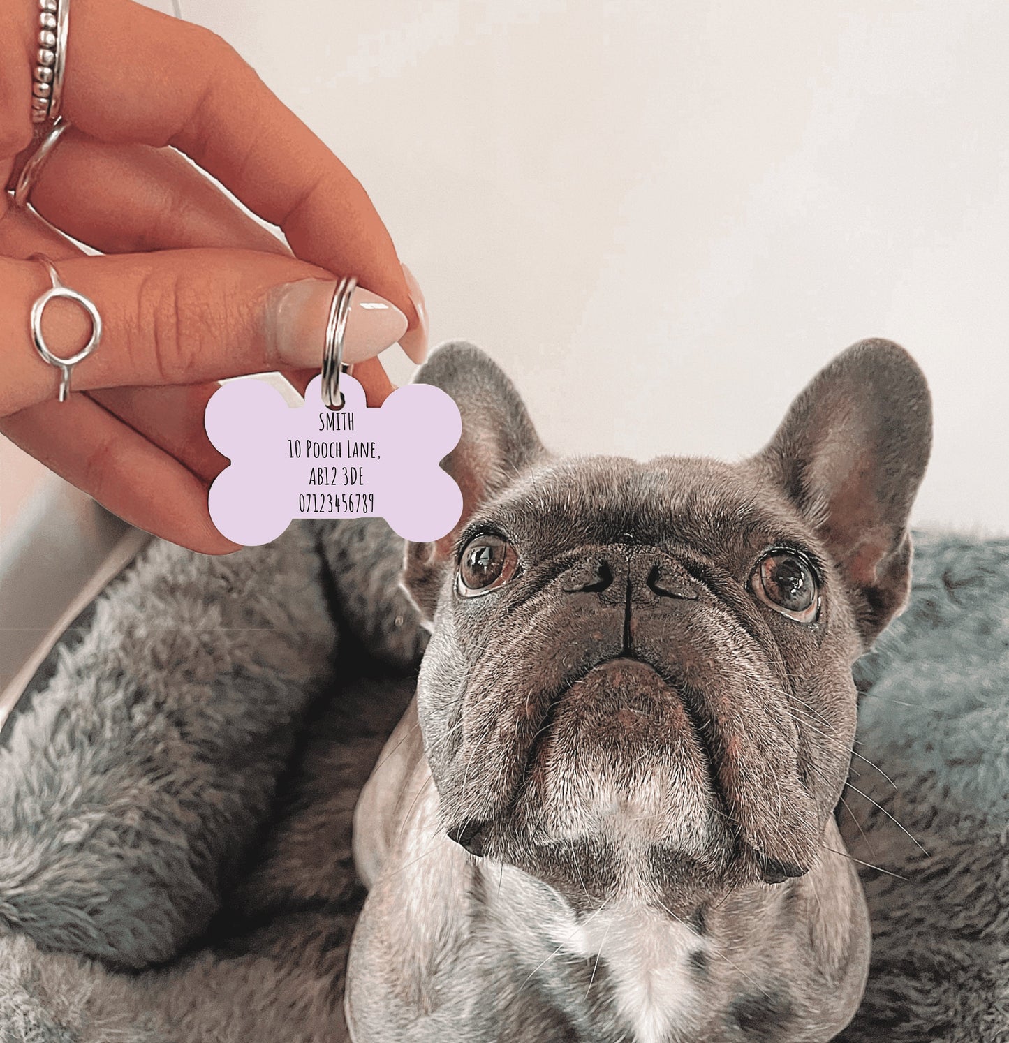 Purple Half Polka Dots Bone Dog Tag