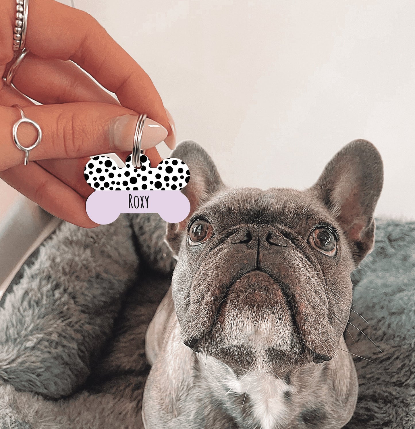 Purple Half Polka Dots Bone Dog Tag