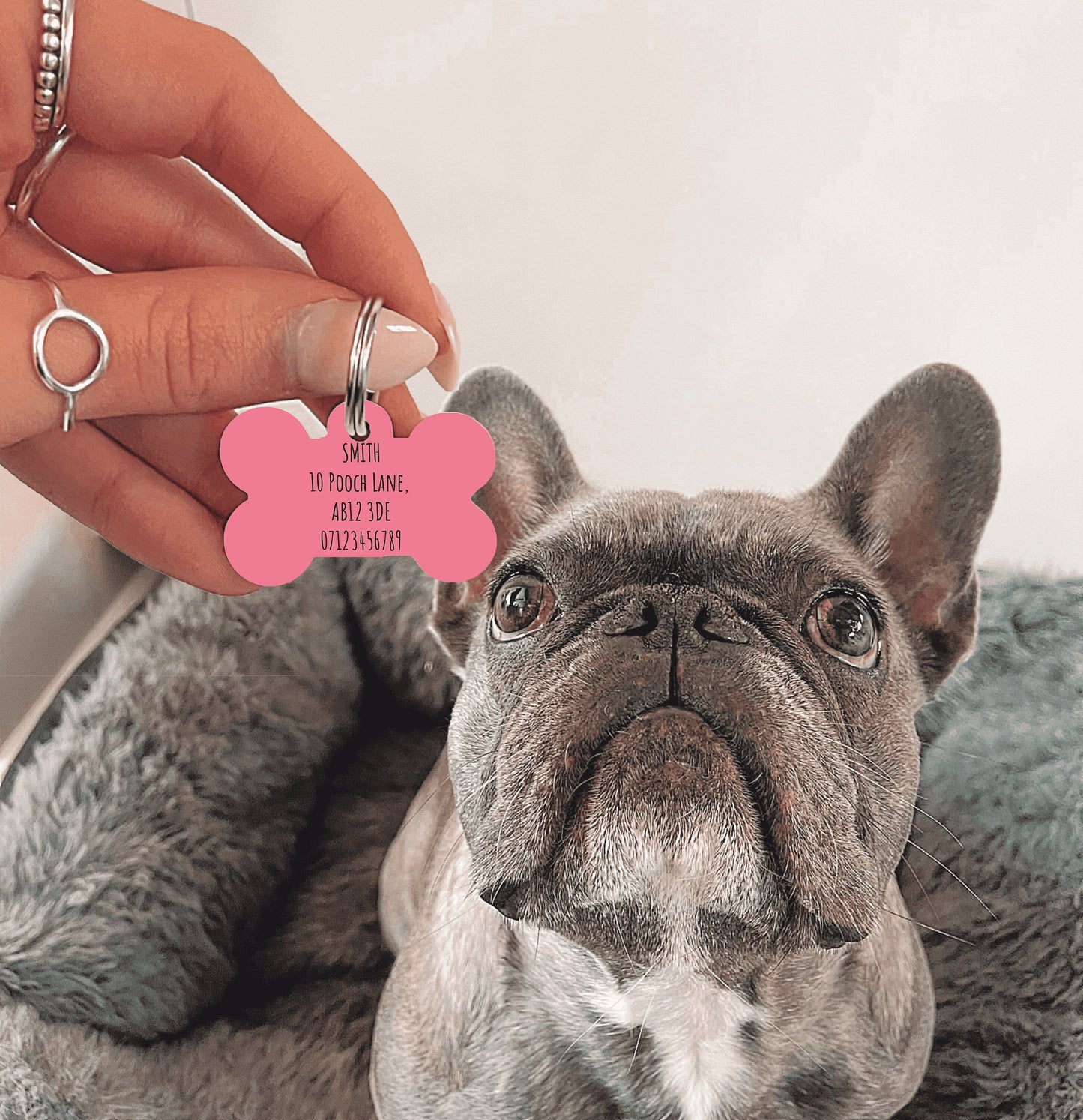 Dark Pink Spotty Bone Dog Tag