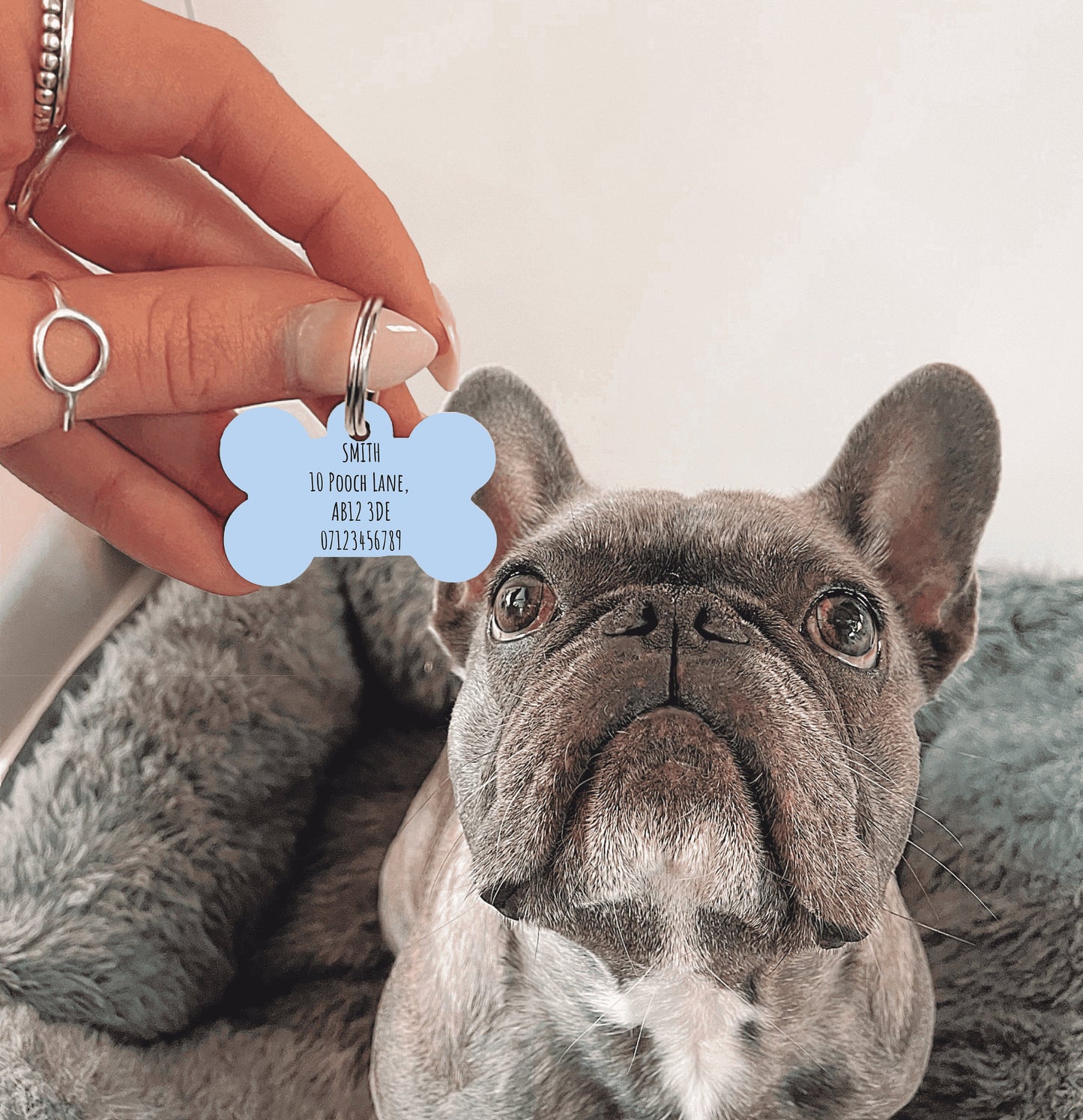 Blue Half Polka Dots Bone Dog Tag