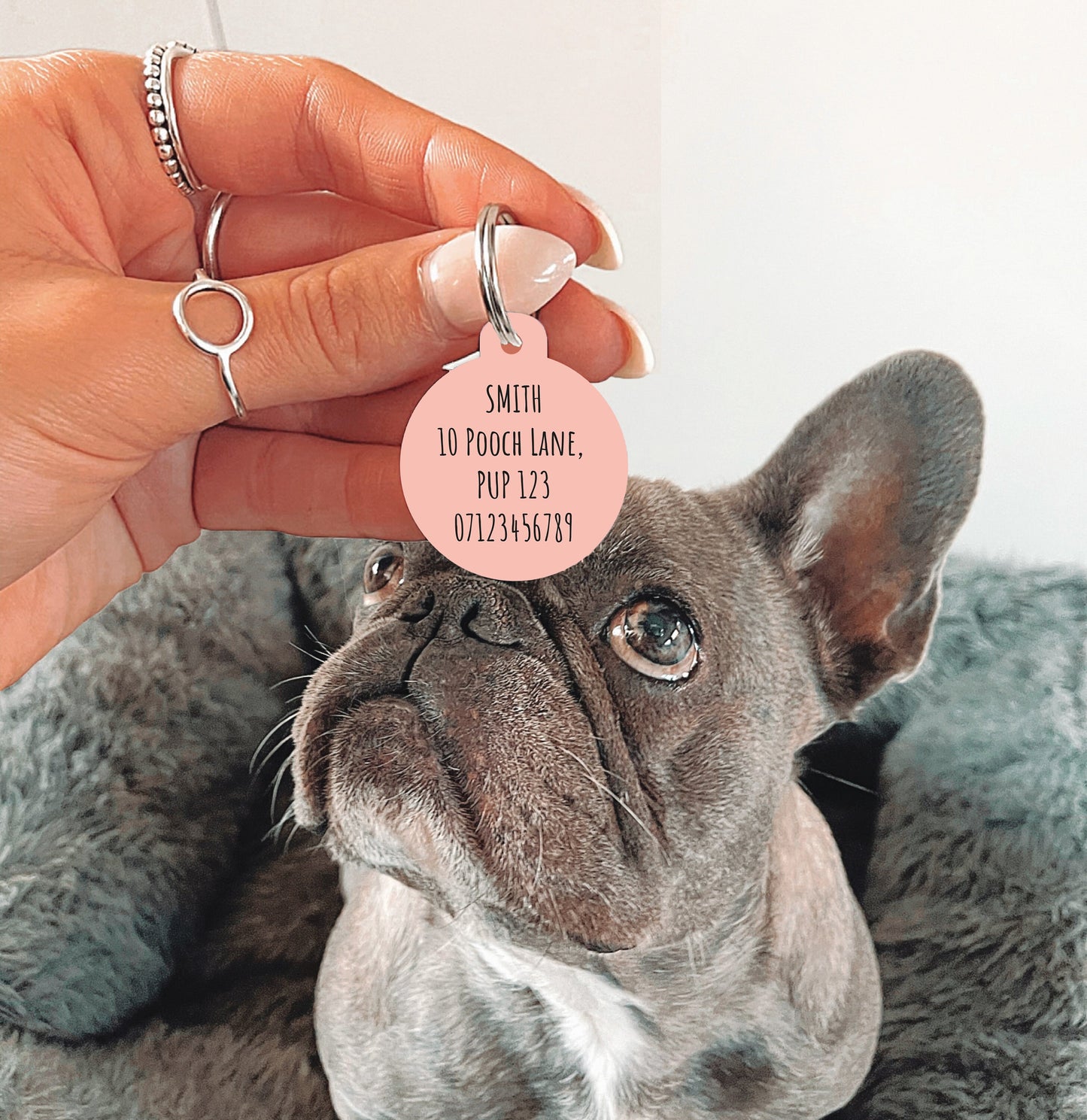 Peach Spotty Circle Dog Tag