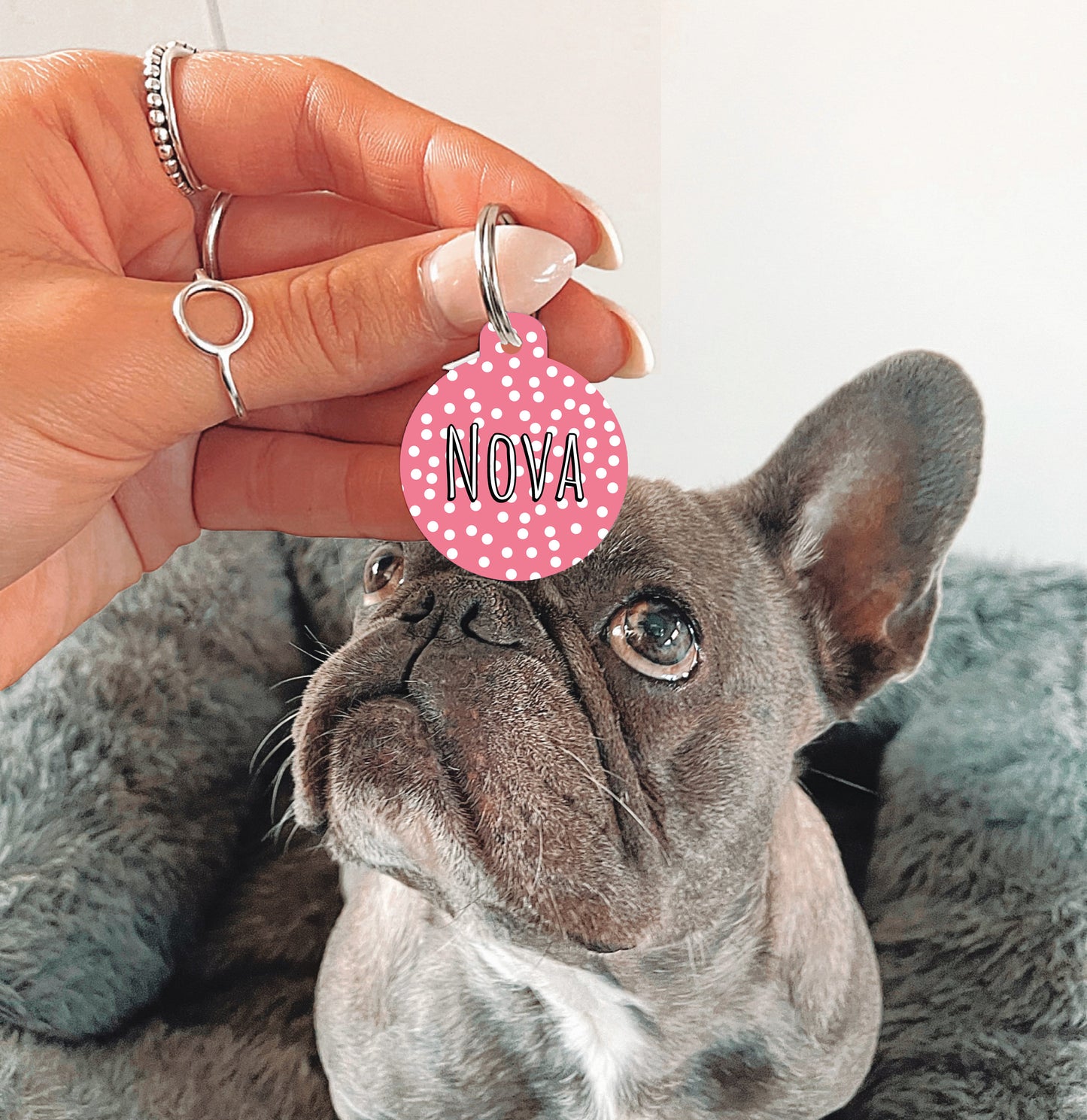 Dark Pink Spotty Circle Dog Tag