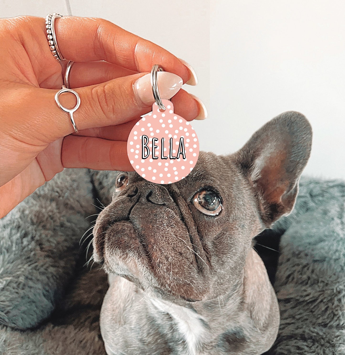 Peach Spotty Circle Dog Tag